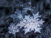 Fotografías Copos Nieve Alexey Kljatov