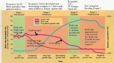 El embarazo y la sociedad Planteamiento del problema