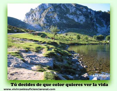 Entrena y reprograma tu mente para un pensamiento positivo