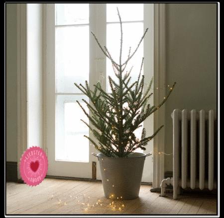 ANIMACIONPREMIOAWARDEVA