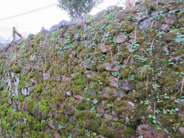 Preparándose para el frío......