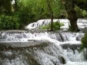 ¿qué tipo perfiles buscan empresas reciente creación?