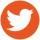 Twitter ”twitter”