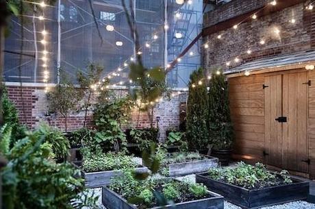 Musket Room Restaurant, aires vintage y urbanos en la gran manzana