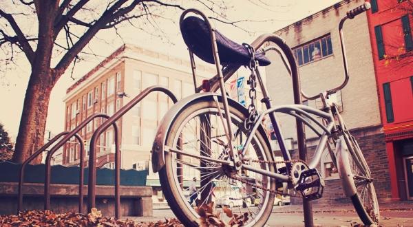 La bicicleta emerge como un medio de transporte ecológico para la ciudad