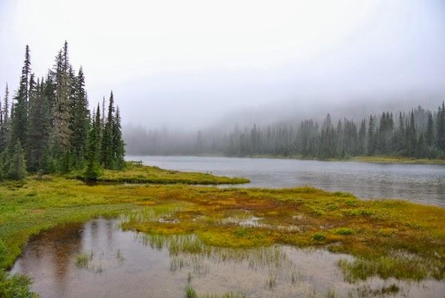 Inspiración: Otoño en Mount Rainier, Washington
