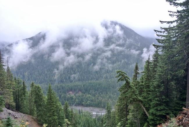 Inspiración: Otoño en Mount Rainier, Washington