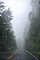 Inspiración: Otoño en Mount Rainier, Washington