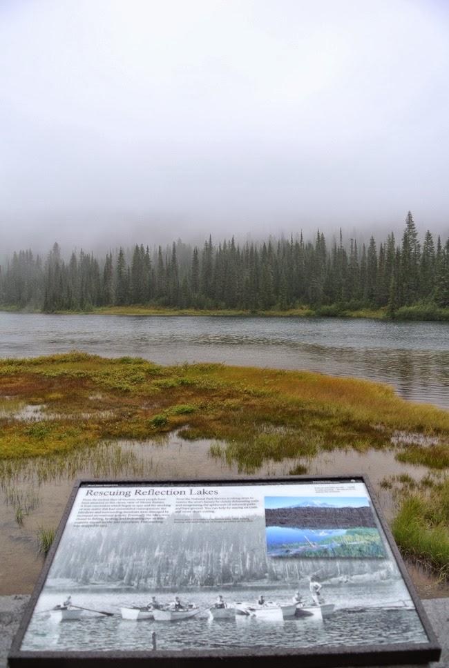 Inspiración: Otoño en Mount Rainier, Washington