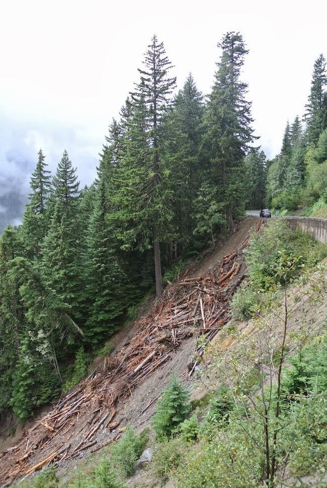 Inspiración: Otoño en Mount Rainier, Washington