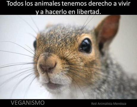 La coherencia no es dogmatismo: el caso Grimes