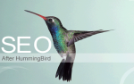 Guía SEO para Google Hummingbird