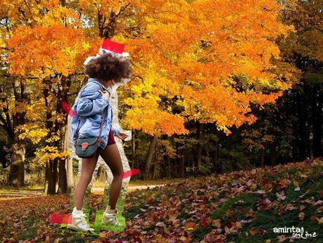 Fall landscapes fall_amintaonline_denimjacket_