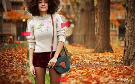 Fall landscapes fall_amintaonline_photography_