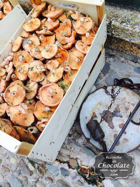 Mini Quiches de Níscalos y Puerros Mini Quiches de Níscalos y Puerros