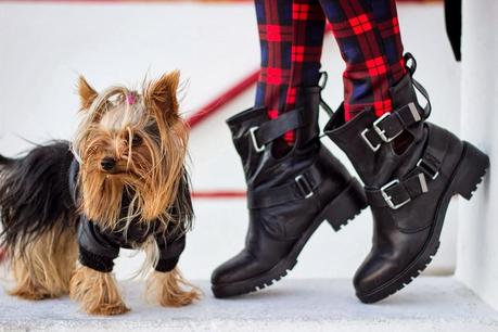 Tartan Trend... How To Wear?