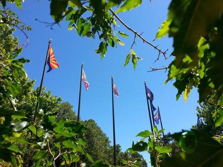 ¿Cómo me voy al extranjero? ¿Cómo me voy al extranjero?