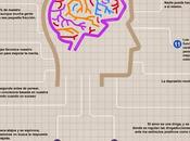 curiosidades, mitos verdades cerebro humano