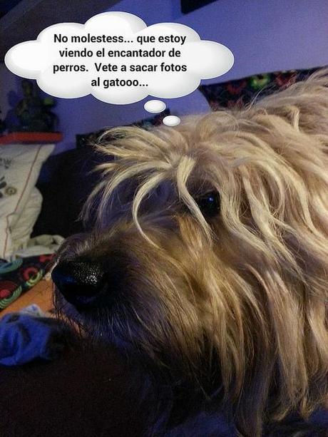 estamos tan agustito