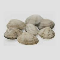 Vitaminas historia trucos origen para comer una buena almeja