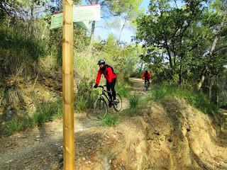 Gavá - Antenas de Begues - Gavá 24/11/2013