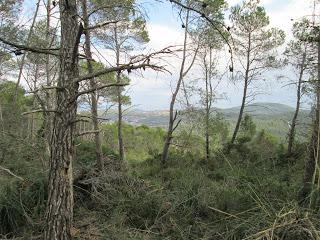 Gavá - Antenas de Begues - Gavá 24/11/2013