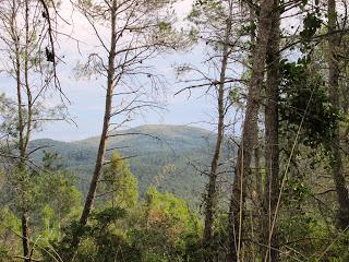 Gavá - Antenas de Begues - Gavá 24/11/2013