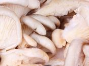 Cuidado setas venenosas