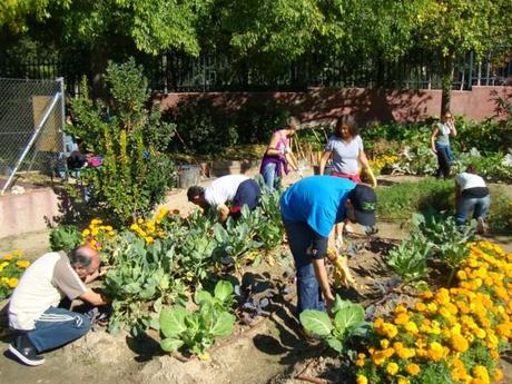 Huertos urbanos: un Madrid cultivable para los niños | eu:KIDS 02-Ciudades cultivables-Retiro