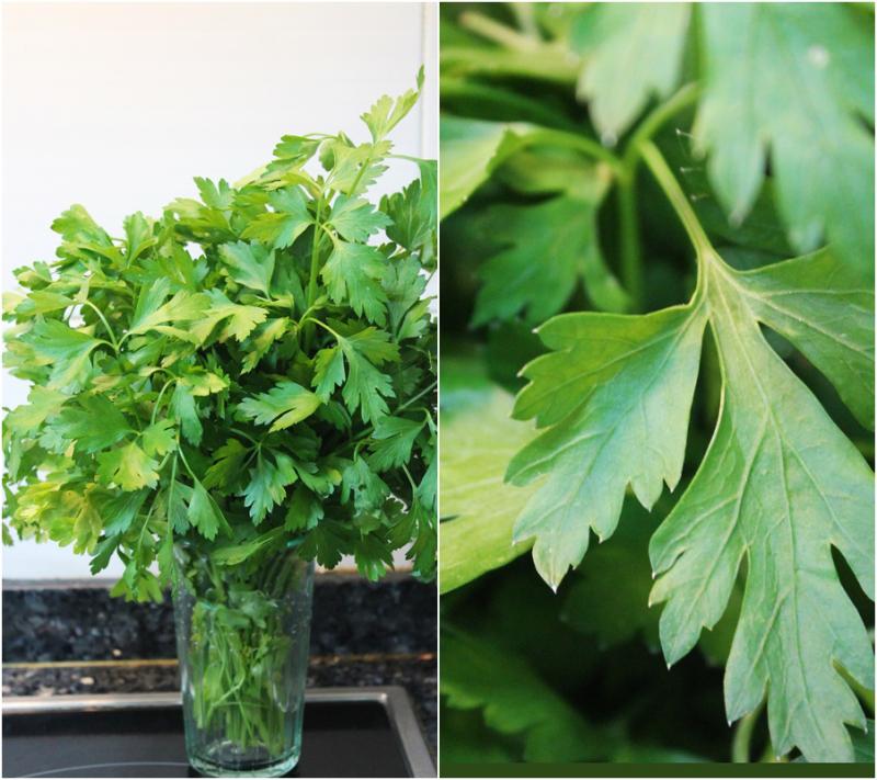 Tallarines a la marinera (paso a paso) catsf