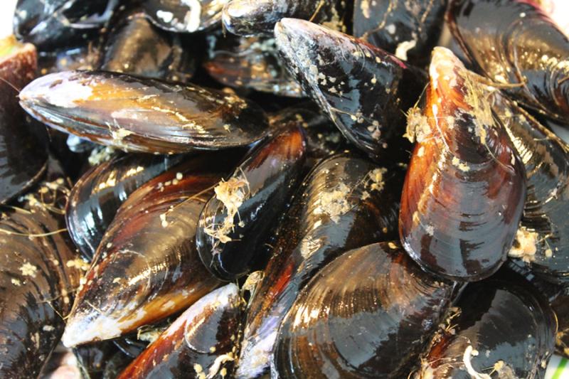 Tallarines a la marinera (paso a paso) IMG_8622