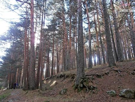 RUTAS EN BICI (NUEVA SECCIÓN) RUTAS EN BICI (NUEVA SECCIÓN)