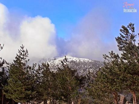 RUTAS EN BICI (NUEVA SECCIÓN) RUTAS EN BICI (NUEVA SECCIÓN)