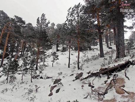 RUTAS EN BICI (NUEVA SECCIÓN) RUTAS EN BICI (NUEVA SECCIÓN)