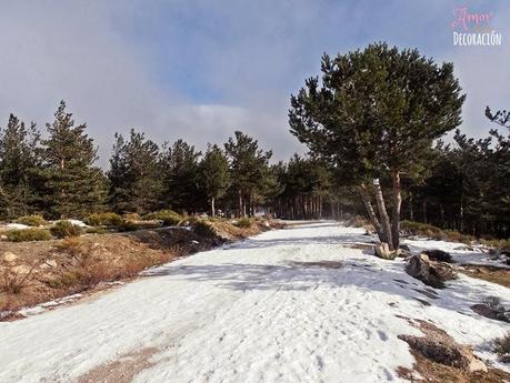 RUTAS EN BICI (NUEVA SECCIÓN) RUTAS EN BICI (NUEVA SECCIÓN)