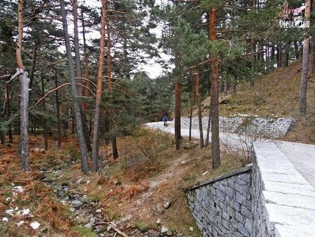 RUTAS EN BICI (NUEVA SECCIÓN) RUTAS EN BICI (NUEVA SECCIÓN)