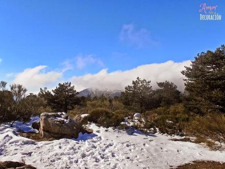 RUTAS EN BICI (NUEVA SECCIÓN) RUTAS EN BICI (NUEVA SECCIÓN)