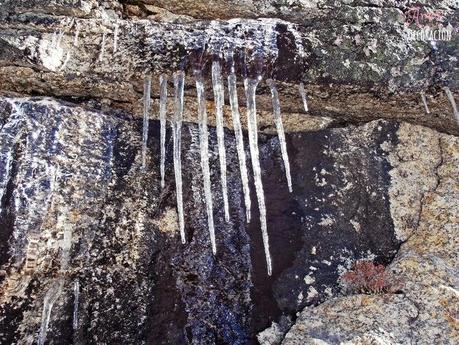 RUTAS EN BICI (NUEVA SECCIÓN) RUTAS EN BICI (NUEVA SECCIÓN)