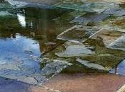 mojes pisando fuerte