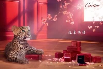 Cartier Winter Tale