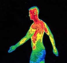 El magnesio, un mineral metabólico