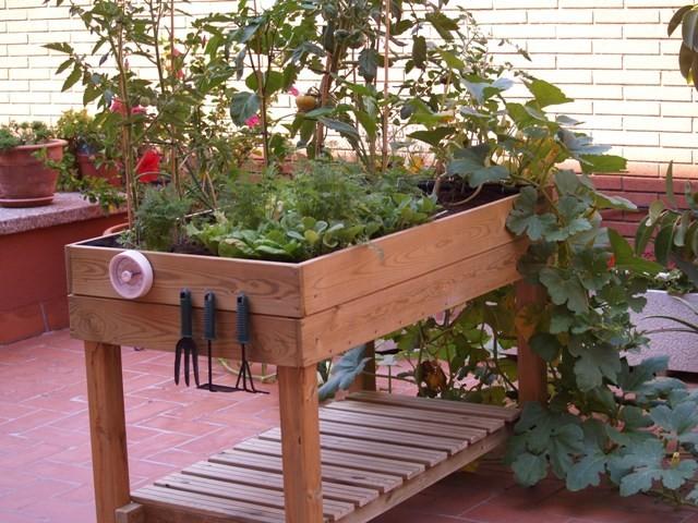 Cultivo ecologico en casa