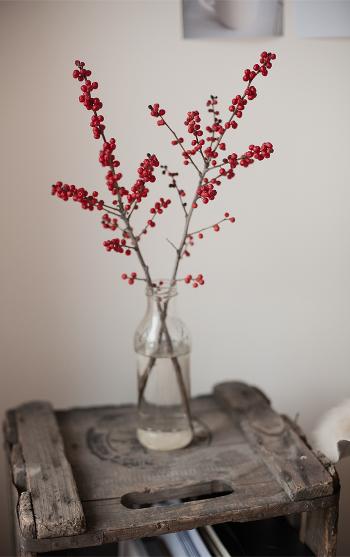 UNA APUESTA PERSONAL PARA ESTA NAVIDAD