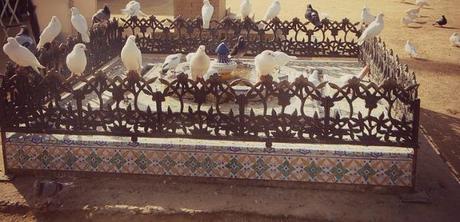 modern-family-sevilla-frikarte Si los agentes de S.H.I.E.L.D. vienen a Sevilla…