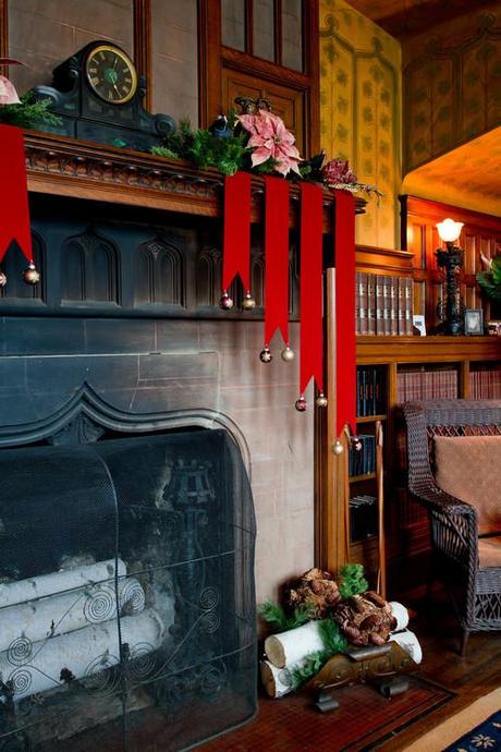 Decorando La Navidad a lo Bestia