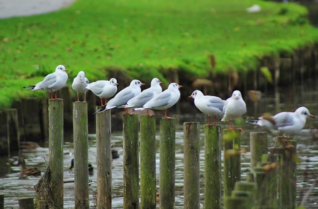 Sorpresas del fin de semana