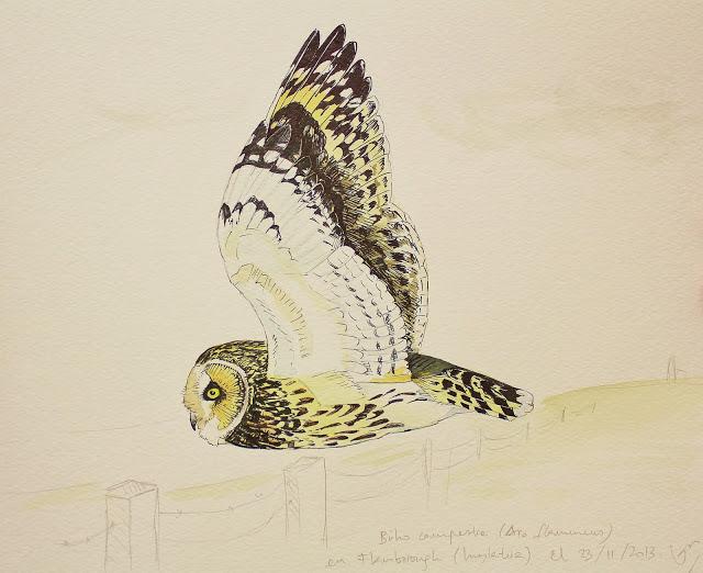 Sorpresas del fin de semana