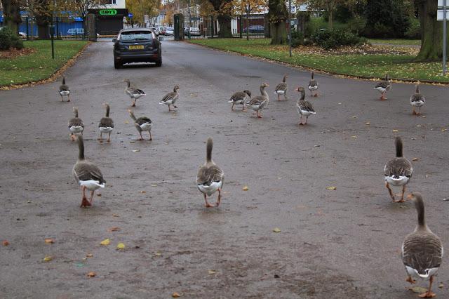 Sorpresas del fin de semana