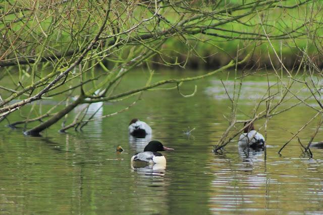 Sorpresas del fin de semana