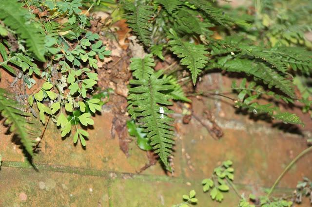 Sorpresas del fin de semana